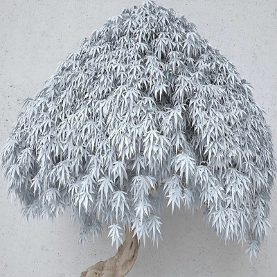 Willow Tree Mural Art Wallpaper - Home Wall Decor