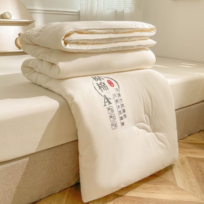 Soybean Fiber Filler Autumn Winter Comforter 100% Cotton Fabric Quilting Comforters for Baby Mother Grade A Warm Blanket Quilt
